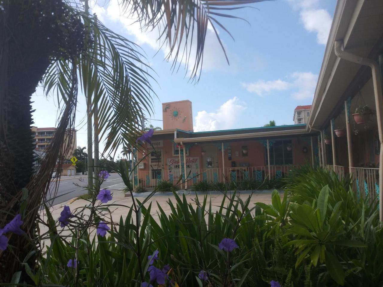 Michaels Siesta Motel Sankt Petersburg Exterior foto